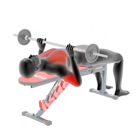 Person führt auf einer Schrägbank eine Bankdrückübung mit Langhantel durch, rote Markierung zeigt Muskelaktivierung.