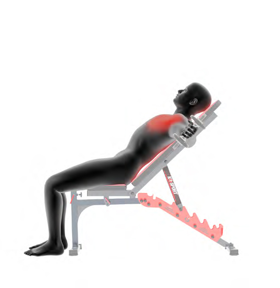 Person macht auf einer Schrägbank eine Kurzhantel-Übung mit roten Markierungen zur Muskelaktivierung.
